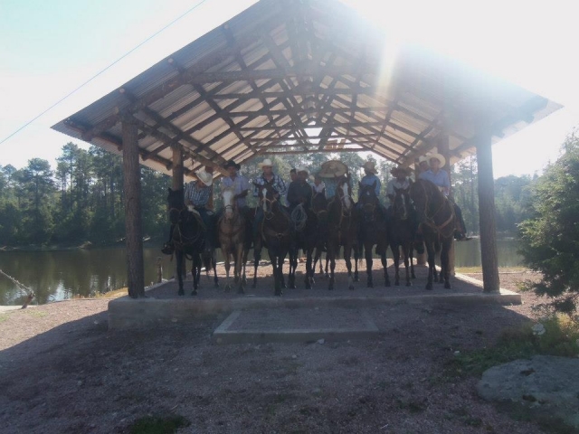 Ruta a caballo a pleno sol